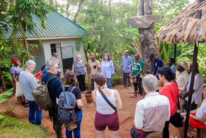 Full-Day Private Materuni Waterfalls and Coffee in Tanzania - Final Thoughts