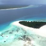 Full Day Private Mnemba Island + Turtles Aquarium & Kendwa Beach - Who Should Consider This Tour?