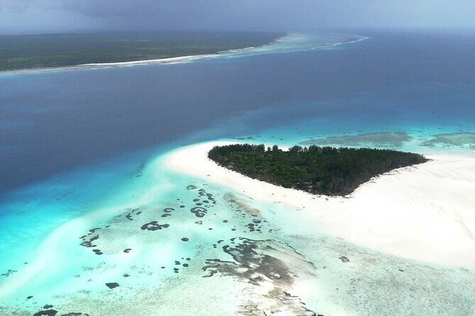 Full Day Private Mnemba Island + Turtles Aquarium & Kendwa Beach - Who Should Consider This Tour?