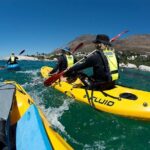 Full Day Private Sea Kayaking & Cape Point - Practical Details & Value Analysis