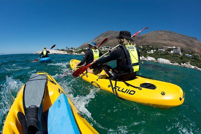 Full Day Private Sea Kayaking & Cape Point - Practical Details & Value Analysis
