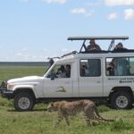 Full-Day Private Serengeti Safari from Mwanza - The Itinerary in Detail
