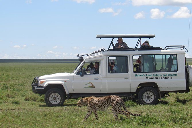 Full-Day Private Serengeti Safari from Mwanza - The Itinerary in Detail