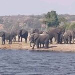 Full Day Private Tour in Chobe - Why This Tour Offers Great Value