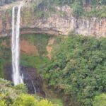 Full Day Private Tour in South of Mauritius - Exploring Each Stop