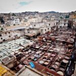 Full-Day Private Tour of Fez - Authentic Experiences from Reviews