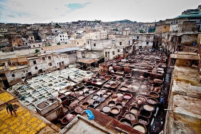 Full-Day Private Tour of Fez - Authentic Experiences from Reviews
