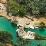 Full-Day Private Tour of Wahiba Sands Desert and Wadi Bani Khalid - What Travelers Are Saying