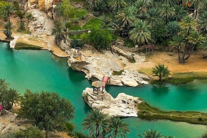 Full-Day Private Tour of Wahiba Sands Desert and Wadi Bani Khalid - What Travelers Are Saying
