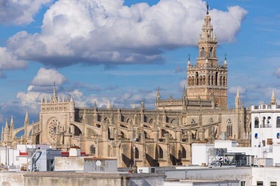 Full Day Private Tour to Sevilla from Cádiz - What Makes This Tour Stand Out?