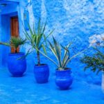 Full Day Private Trip to Chefchaouen the Blue City from Tangier - The Drive and First Impressions