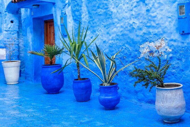 Full Day Private Trip to Chefchaouen the Blue City from Tangier - The Drive and First Impressions