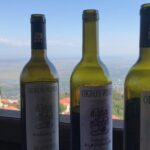 Full Day Private Wine Tour in Kakheti Region with Lunch and 3 Wine Tastings - Why This Tour Offers Great Value