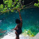Full - Day Private Zanzibar Tour with dolphins & Sunset Beach - Detailed Review of the Experience