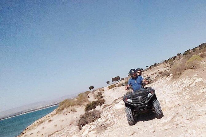 Full-Day Quad bike Adventure from Essaouira to Sidi Kaouki - The Experience: What Makes It Stand Out
