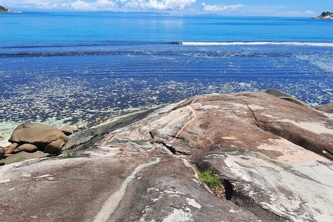 Full Day Reef Safari at St Anne Marine Park Seychelles - Final Thoughts: Is It Worth It?