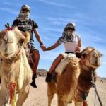 Full-Day Safari Adventure in Hurghada with Pick Up and Dinner - Practical Considerations