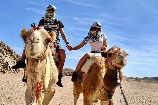 Full-Day Safari Adventure in Hurghada with Pick Up and Dinner - Practical Considerations