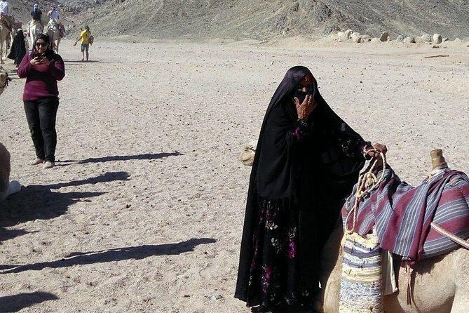 Full-Day Safari Desert Tour in Hurghada by Jeep - Who Will Love This Tour?