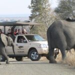 Full Day Safari Shared Tour at Kruger National Park - Transport and Group Size