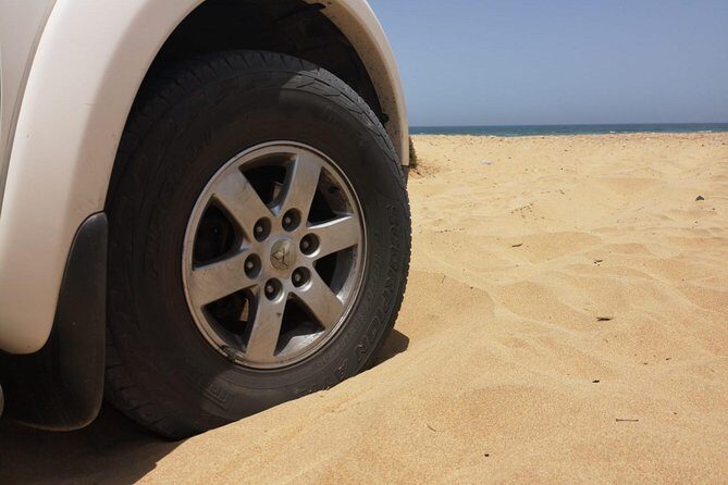 Full-Day Safari Small Desert With Lunch - Who Would Love This Experience?