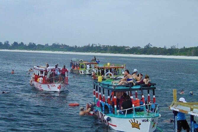 Full day Sardegna Island Malindi - Authentic Insights from Past Travelers