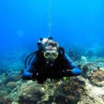 Full day Scuba diving and Snorkeling boat trip from Hurghada - Diving and Snorkeling Highlights