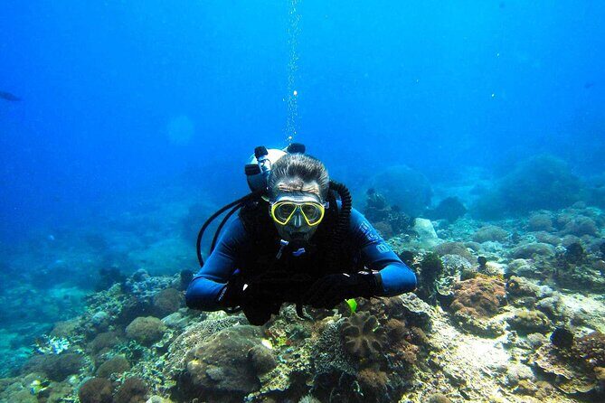 Full day Scuba diving and Snorkeling boat trip from Hurghada - Diving and Snorkeling Highlights