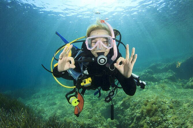 Full-day Scuba Diving Experience for Beginners & Lunch - Sharm El Sheikh - Why This Tour is Worth Considering