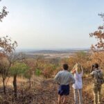 Full-Day Serengeti Tour from Mwanza - What Sets This Tour Apart?