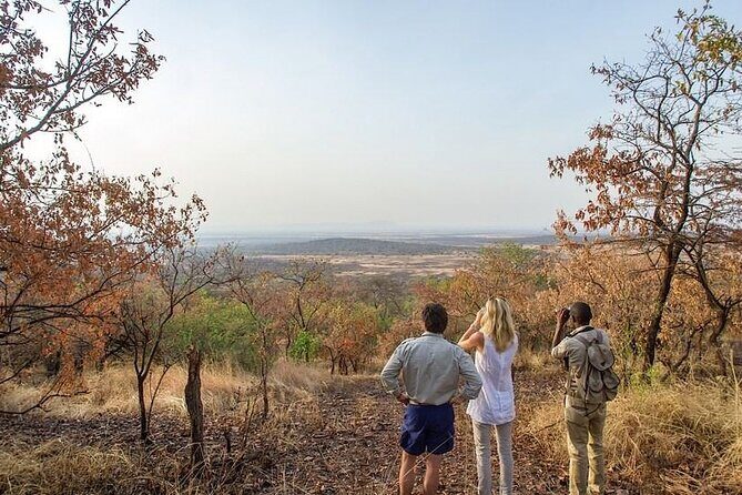 Full-Day Serengeti Tour from Mwanza - What Sets This Tour Apart?