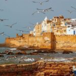 Full Day Shared Tour in Essaouira - What’s Included and What To Keep in Mind