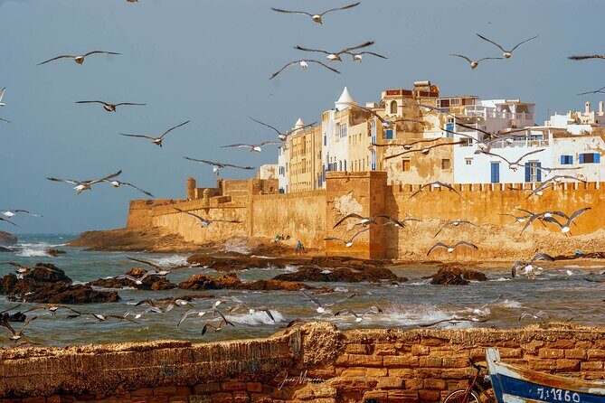 Full Day Shared Tour in Essaouira - What’s Included and What To Keep in Mind