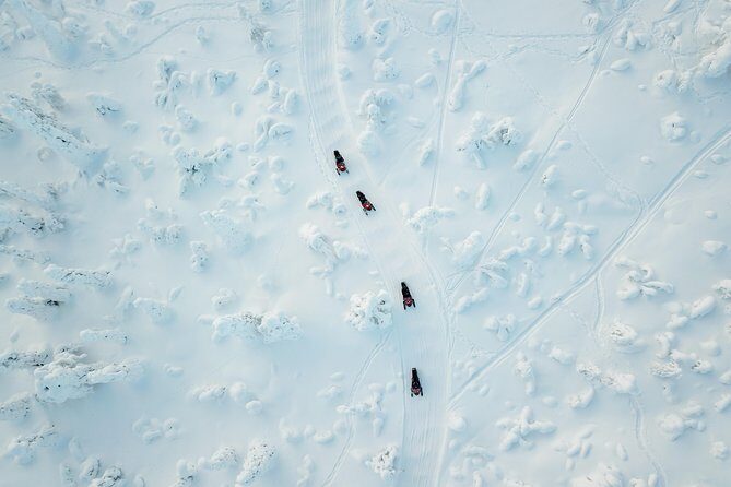 Full Day Snowmobile Safari into the Lappish Wilderness in Rovaniemi - Detailed Breakdown of the Experience