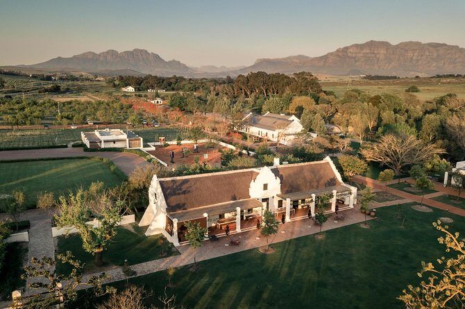 Full day South African Wine Tour (Stellenbosh, Franschhoek and Paarl) - Authentic Experiences & Review Insights