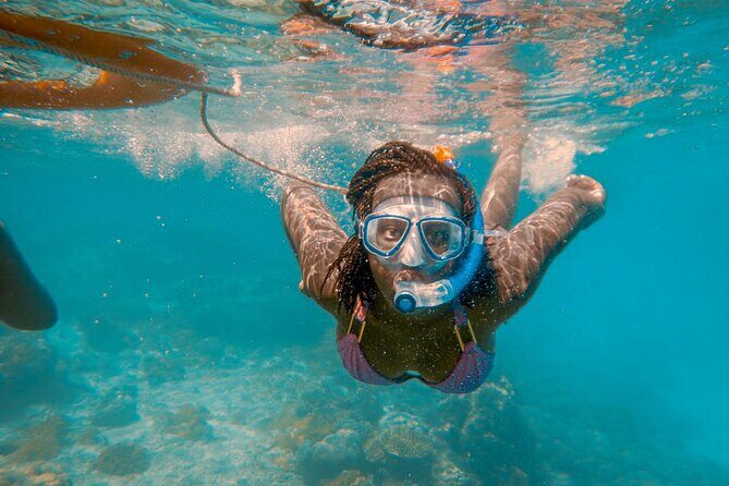 Full-Day Special Wasini Island Tour with Snorkeling and Lunch - The Food and Drinks