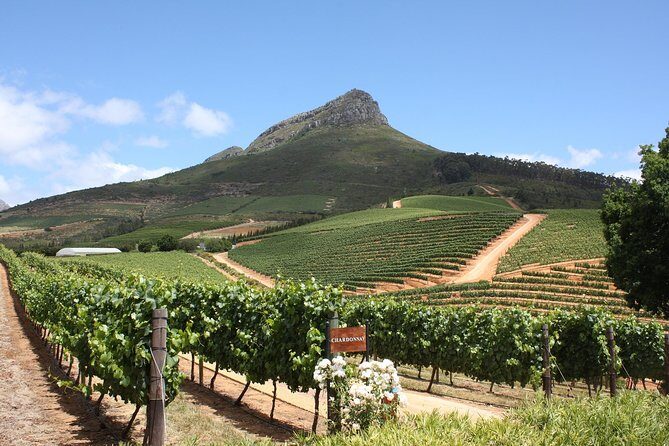 Full-Day Stellenbosch, Franschhoek and Paarl Wine Tasting Tour from Cape Town - Pricing and Value