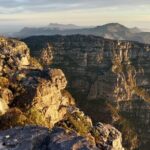 Full Day Table Mountain Cableway Ride and Constantia Wine Tasting - Why This Tour Offers Great Value