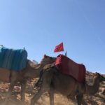 Full day Tangier Tour from Cruise or ferry from tarifa - Transportation, Timing, and Group Size