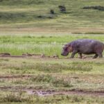 Full Day To Arusha National Park - Final Thoughts