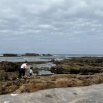 Full Day Tour From Marrakech To Essaouira Mogador - Real Traveler Insights