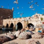 Full Day Tour from Marrakesh to Essaouira with Pickup - The Itinerary Breakdown