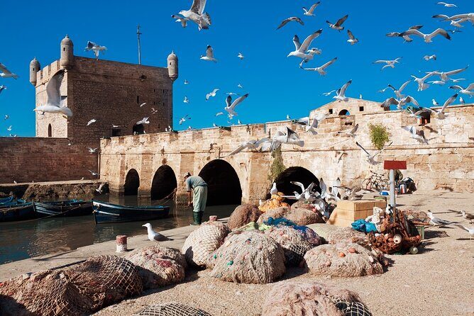 Full Day Tour from Marrakesh to Essaouira with Pickup - The Itinerary Breakdown