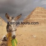 Full day tour Giza pyramid Memphis&Saqqaraa - Stepping Back in Time at Saqqara and Djoser’s Step Pyramid