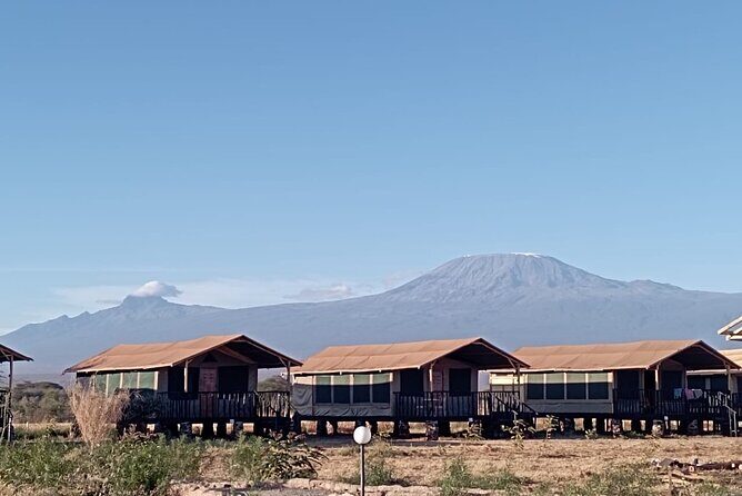 Full Day Tour in Amboseli National Park from Nairobi - FAQ