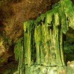 Full-day Tour Mnemba Jozani Forest Kuza Cave Paje Beach The Rock - Practical Details: What to Expect