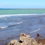 Full-Day Tour of Mombasa - Guides and Local Insights