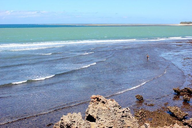 Full-Day Tour of Mombasa - Guides and Local Insights