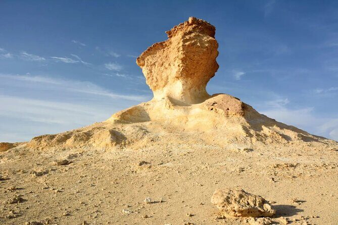 Full-Day Tour Qatar North And West - Who Should Consider This Tour?