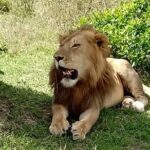 Full Day Tour to Amboseli National Park - Who is This Tour Best Suited For?